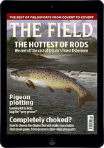 The Field YFD The Field YFD