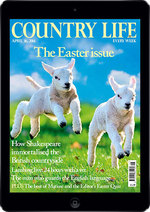 Country Life XCL Country Life XCL
