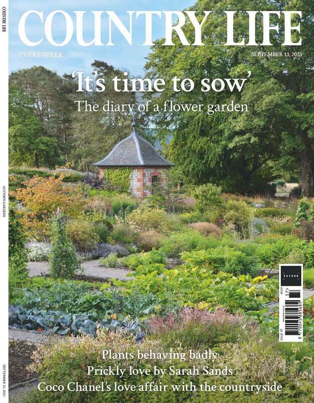 Country Life Single Issue