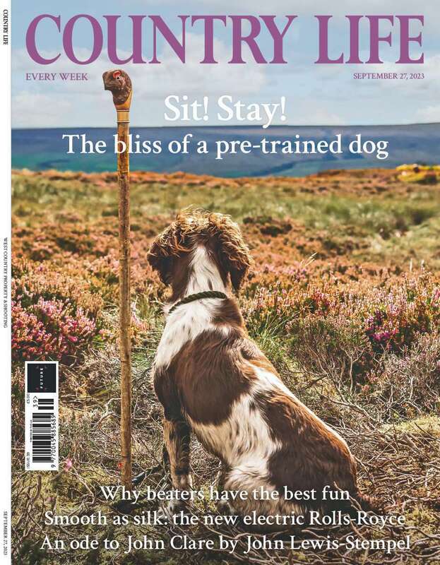 Country Life 22 March 2023 - Country Life