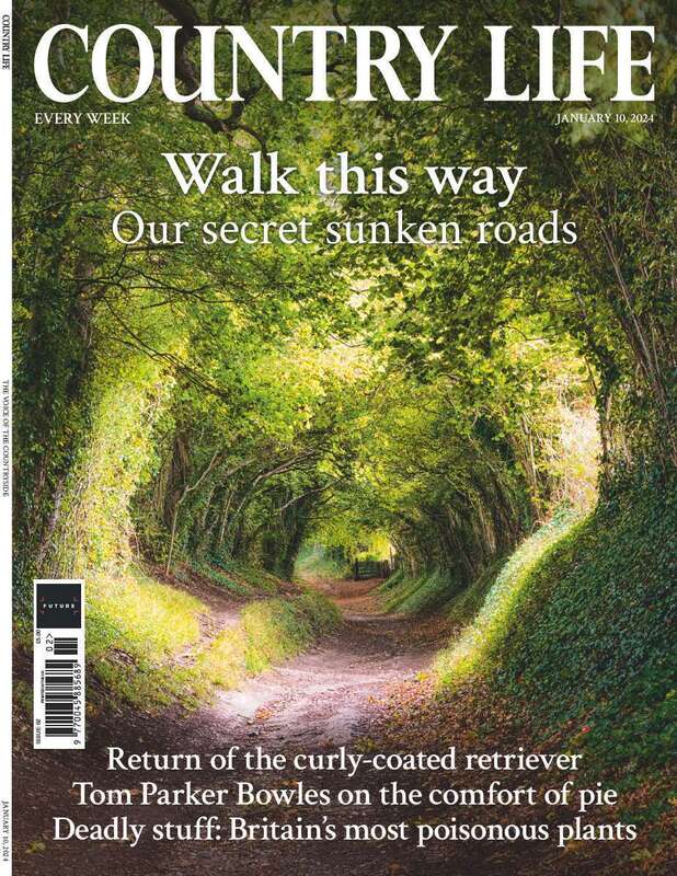 Country Life Single Issue