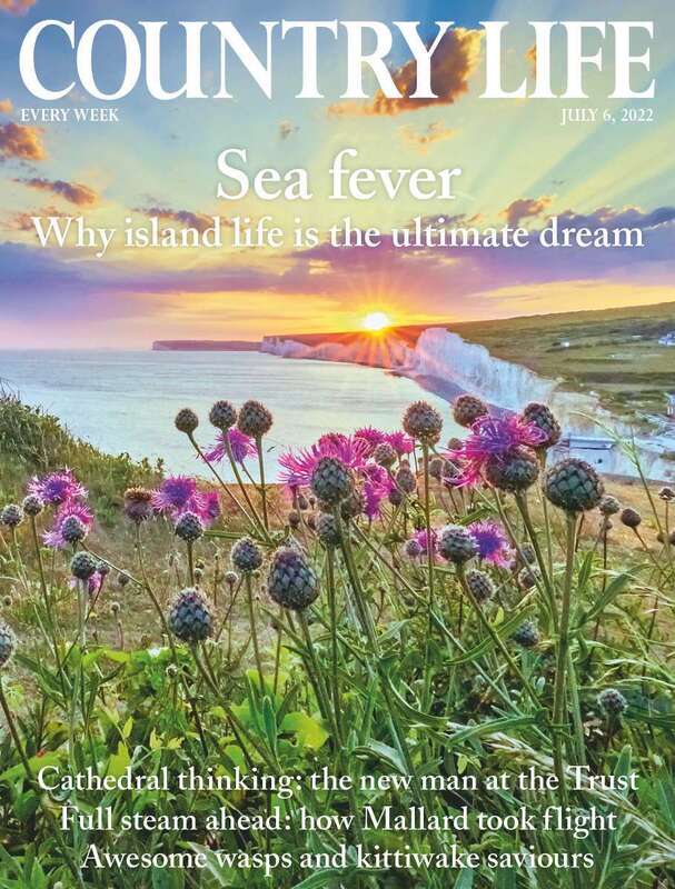 Country Life Single Issue