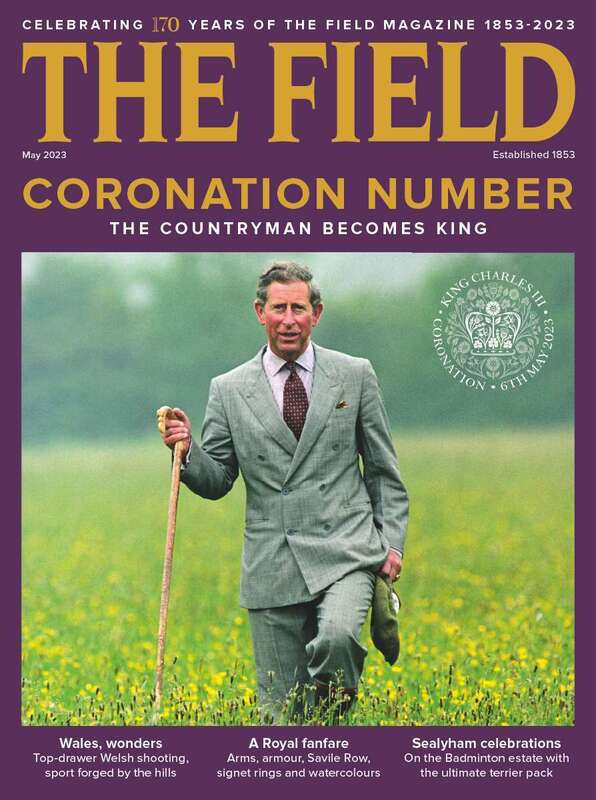 The Field Single Issue