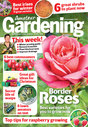  cover 3