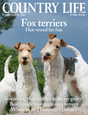  cover 2