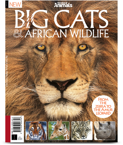 Book of Big Cats & African Wildlife (6th Edition)