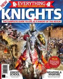 Everything You Need to Know About... Knights (2nd Edition)