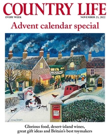 Country Life 23rd November 2022 Advent Calendar