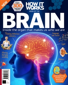Book of the Brain (6th Edition)
