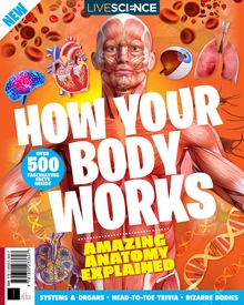 How Your Body Works (3rd Edition)