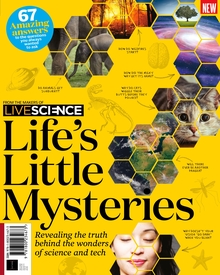 Life's Little Mysteries (2nd Edition)