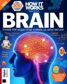 Book of the Brain (7th Edition)