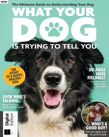 What Your Dog Is Trying To Tell You