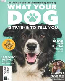 What Your Dog is Trying To Tell You (2nd Edition)
