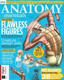 Anatomy Essentials (13th Edition)