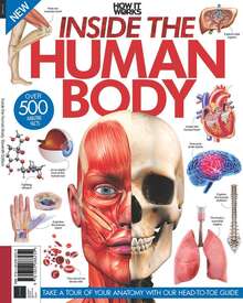 Inside The Human Body (10th Edition)