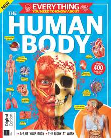 Everything You Need To Know About The Human Body