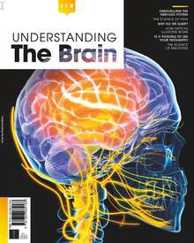 Understanding The Brain