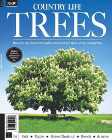 Country Life Book of Trees