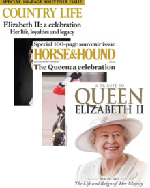Queen Elizabeth II Bundle