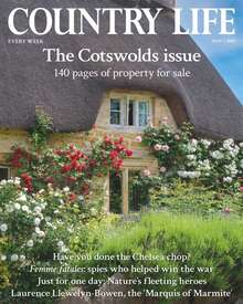 Country Life Magazine Subscription - Paper Magazines