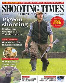 Shooting Times