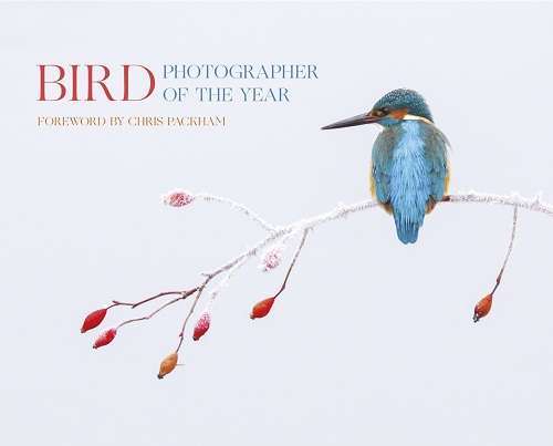 Bird Photographer of the Year