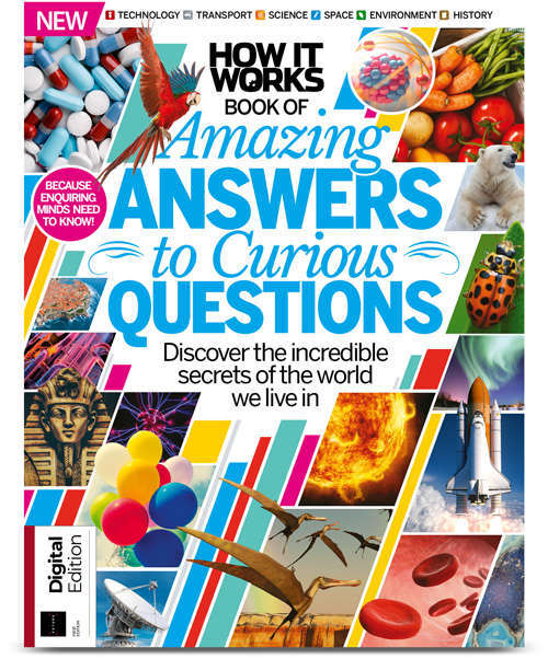 Book of Amazing Answers to Curious Questions (12th Edition)