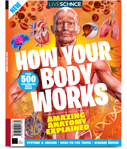 How Your Body Works