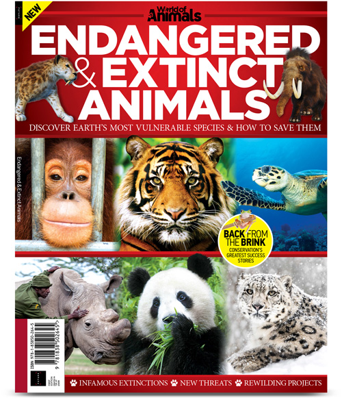 Endangered & Extinct Animals