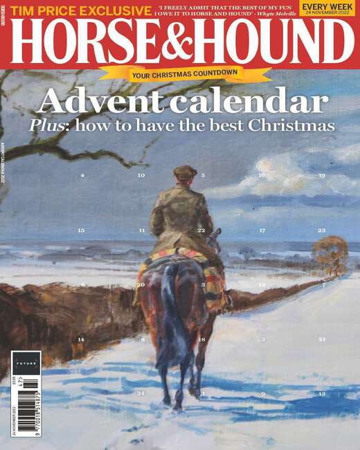 Horse & Hound 24th November Advent Calendar