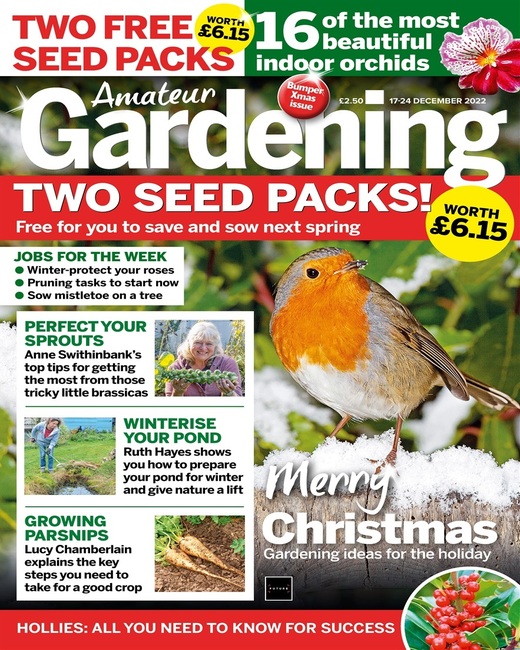 Amateur Gardening 17/24 December