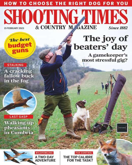 Shooting Times 15th February