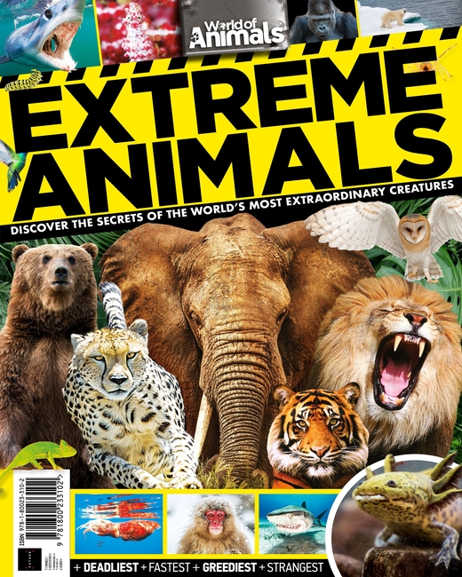 World of Animals Extreme Animals (3rd Edition)