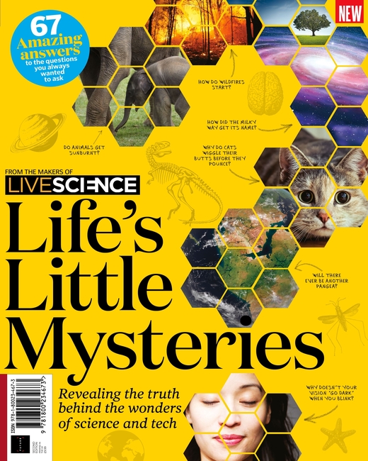 Life's Little Mysteries (2nd Edition)