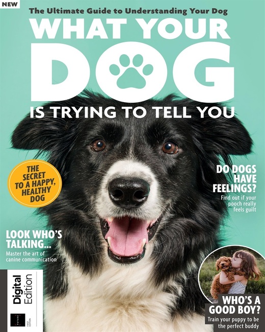 What Your Dog Is Trying To Tell You