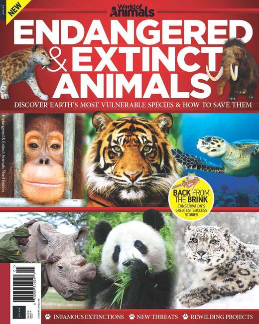 Buy World of Animals Book of Endangered & Extinct Animals (3rd Edition)  from MagazinesDirect