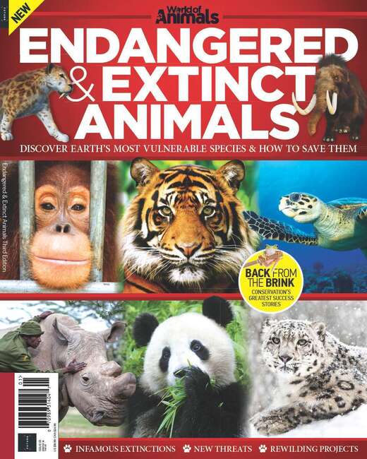 Buy World of Animals Book of Endangered & Extinct Animals (3rd Edition) from MagazinesDirect Buy World of Animals Book of Endangered & Extinct Animals (3rd Edition) from MagazinesDirect