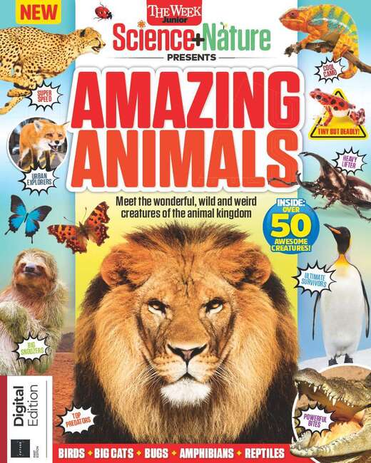 Buy Science & Nature Presents: Amazing Animals from MagazinesDirect Buy Science & Nature Presents: Amazing Animals from MagazinesDirect