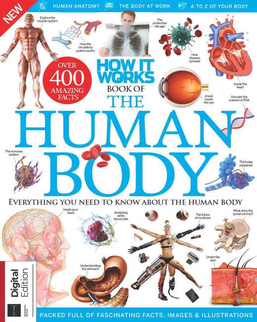 THE HUMAN BODY