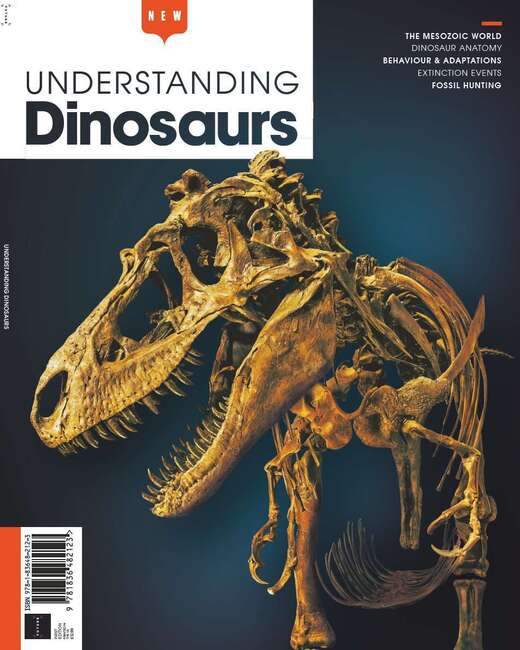 Understanding Dinosaurs