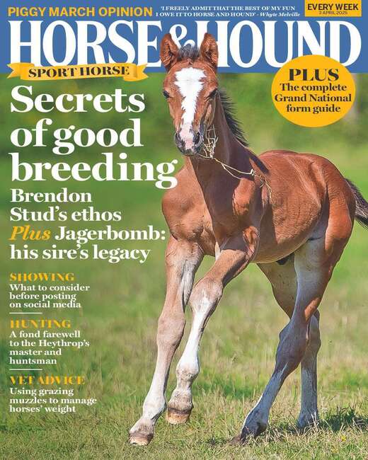 Horse & Hound Magazine Subscription